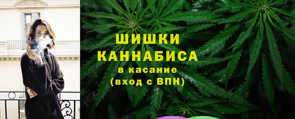 ALPHA PVP Покров
