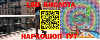 прущие грибы Беслан
