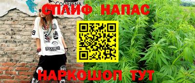 прущие грибы Беслан