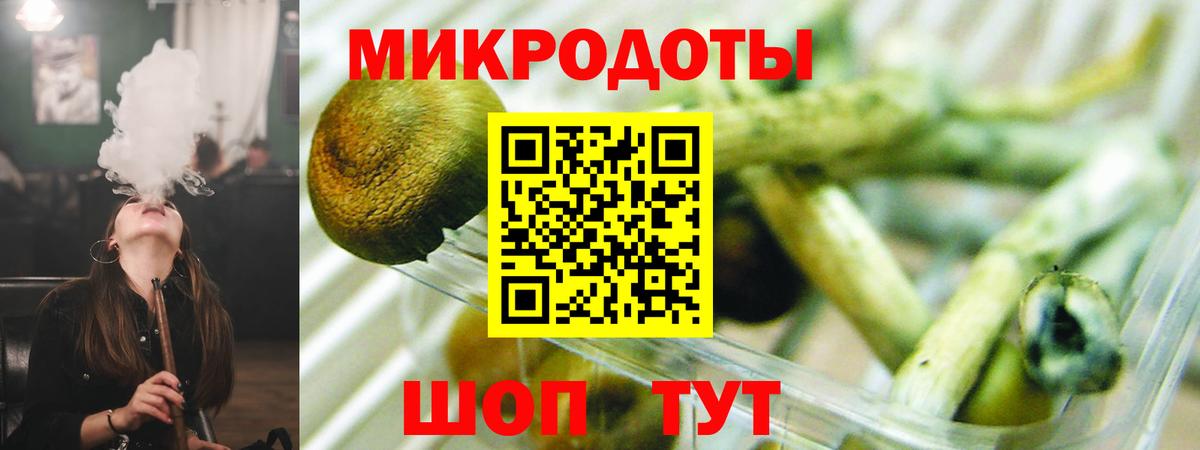 Псилоцибиновые грибы MAGIC MUSHROOMS  где купить наркоту  Галлюциногенные грибы мухоморы  Грязи 
